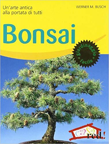libro bonsai principianti