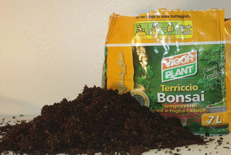 Come scegliere il terriccio iBonsai