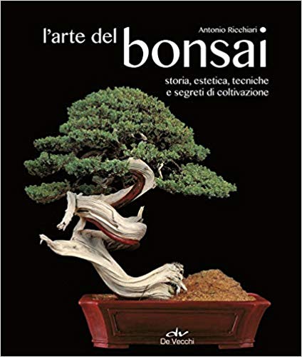 Regali Di Natale Che Costano Poco.Cosa Regalare A Natale A Chi Ama I Bonsai 7 Idee Regalo Ibonsai
